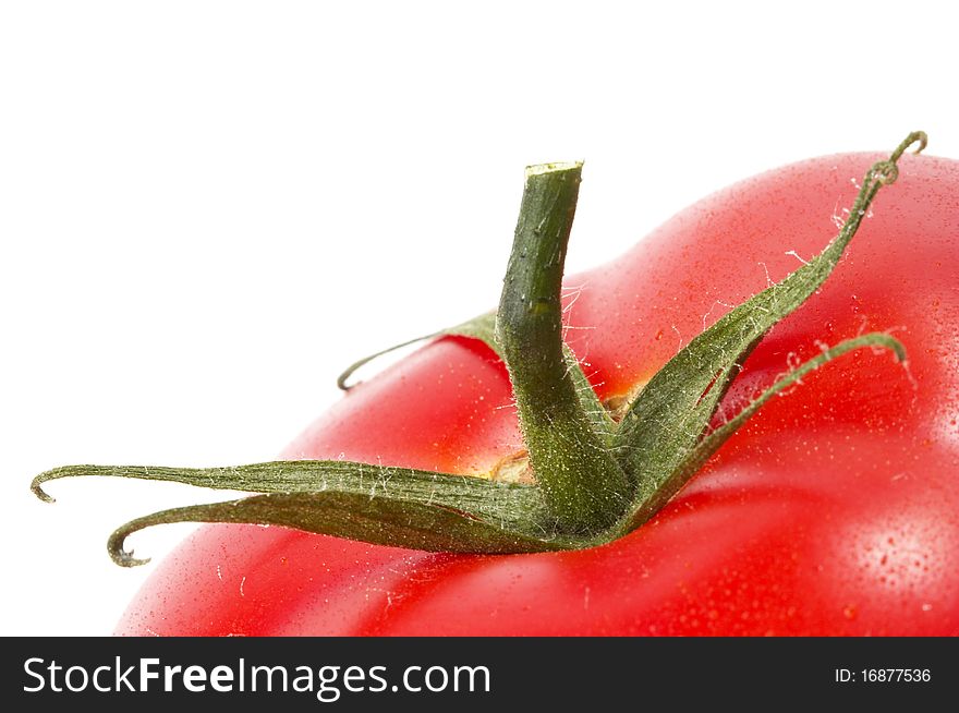 One tomato fragment macro shot isolated over white background