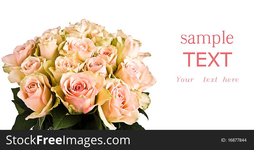 Beautiful bouquet of pink roses on white. Beautiful bouquet of pink roses on white