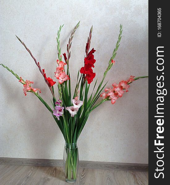 Bouquet of flowers, gladiolus of different colors. Flowers in a vase on the floor. Green leaves and green grass. Plant. lovely, pretty, flower.