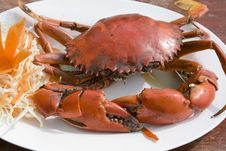 Boiled Crab Royalty Free Stock Image Boiled Crab Royalty Free Stock Image