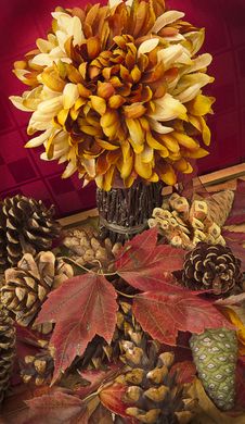 Fall Still Life With Pine Cones And Maple Leaves Royalty Free Stock Photos Fall Still Life With Pine Cones And Maple Leaves Royalty Free Stock Photos