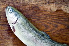 Raw Food, Trout Fish Royalty Free Stock Photography