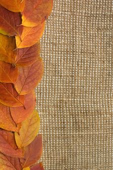 Autumn Leaves Over Burlap Background Royalty Free Stock Photos Autumn Leaves Over Burlap Background Royalty Free Stock Photos