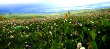 Ancestor Tower Prairie Scenery Royalty Free Stock Photography Ancestor Tower Prairie Scenery Royalty Free Stock Photography