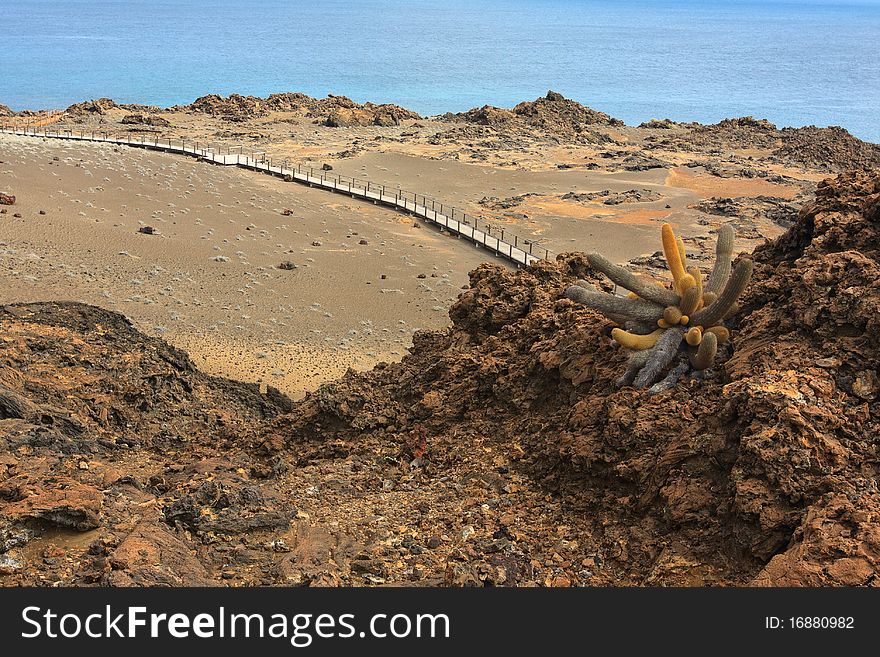 The dry landscape of Bartolome Island in the Galapagos