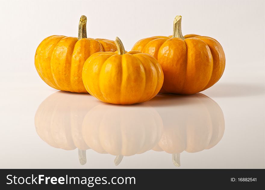 Three miniature pumpkins on a white background with reflection.