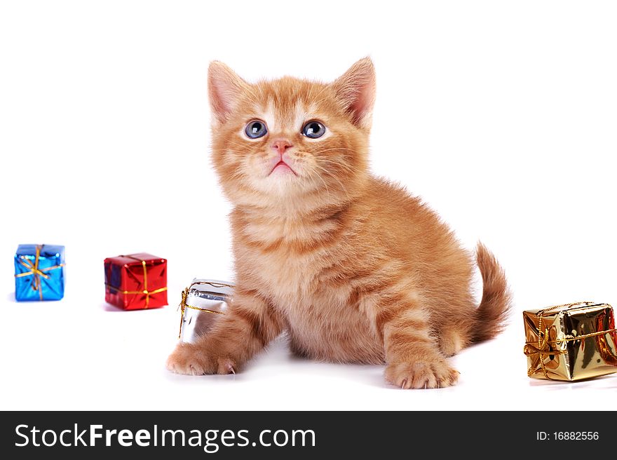 A red kitten sits iwhit a gift boxes on a white background