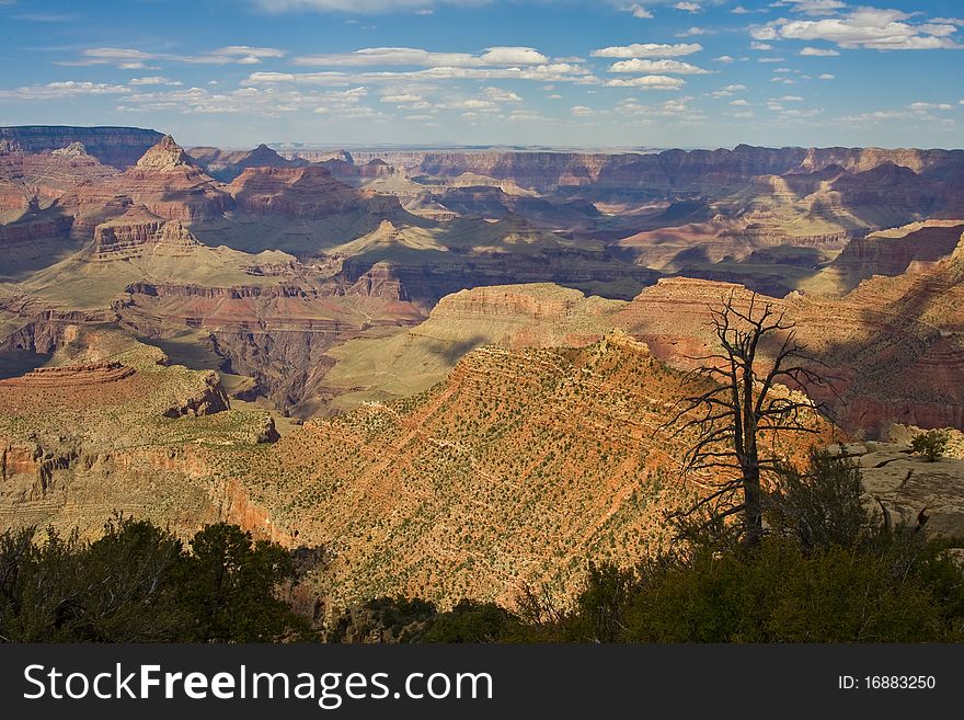Landscape view of the Grand Canyon National park to explore. Landscape view of the Grand Canyon National park to explore