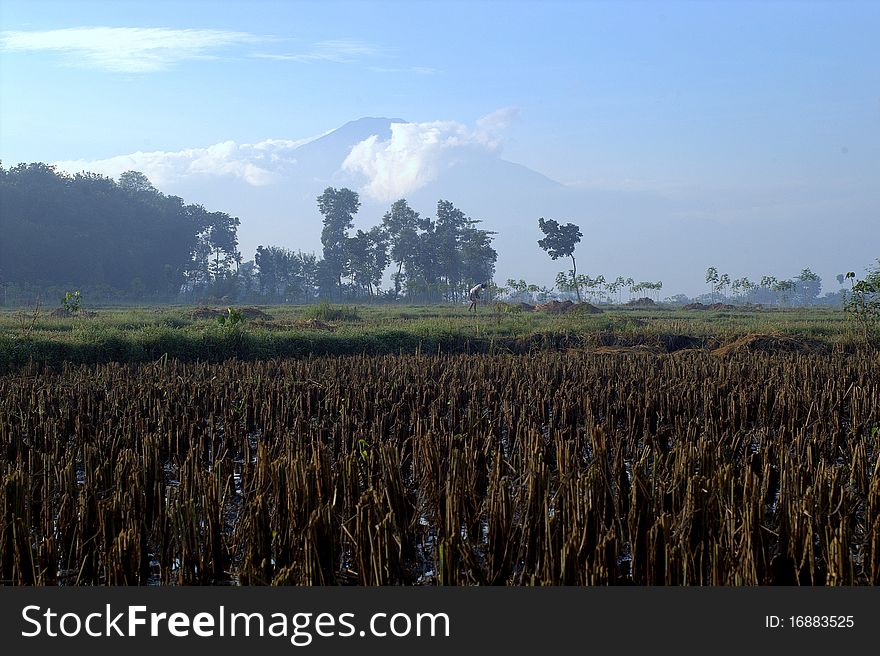 Beautiful mountain in West Java. Beautiful mountain in West Java