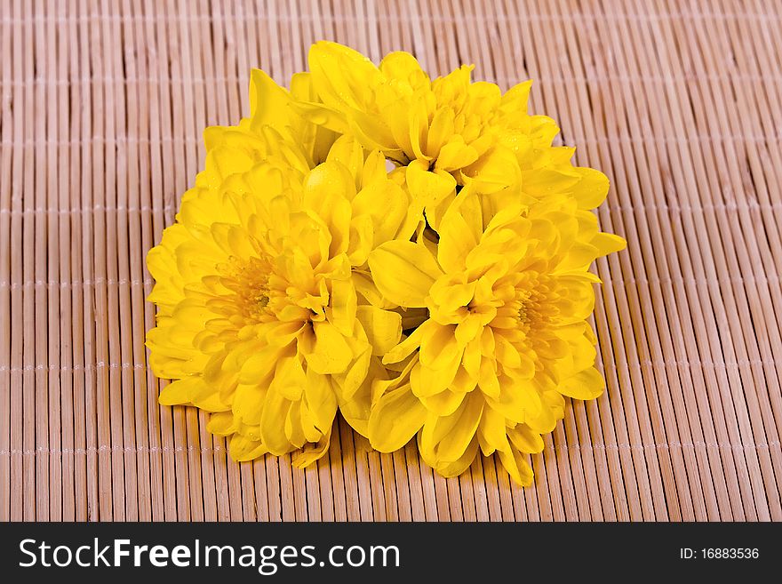 Yellow Bouquet Of Chrysanthemums