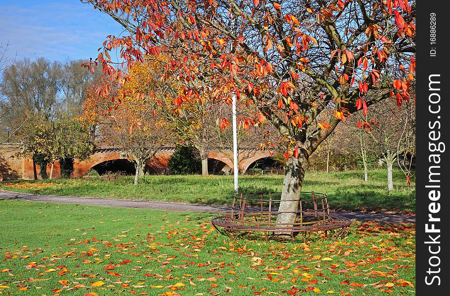 Autumn colors in an English Park with circular seat around a tree and bridge in the background