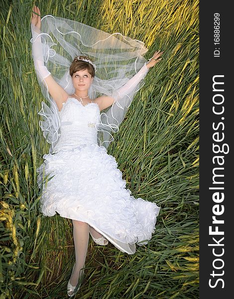 Young bride in a field of green wheat. Young bride in a field of green wheat