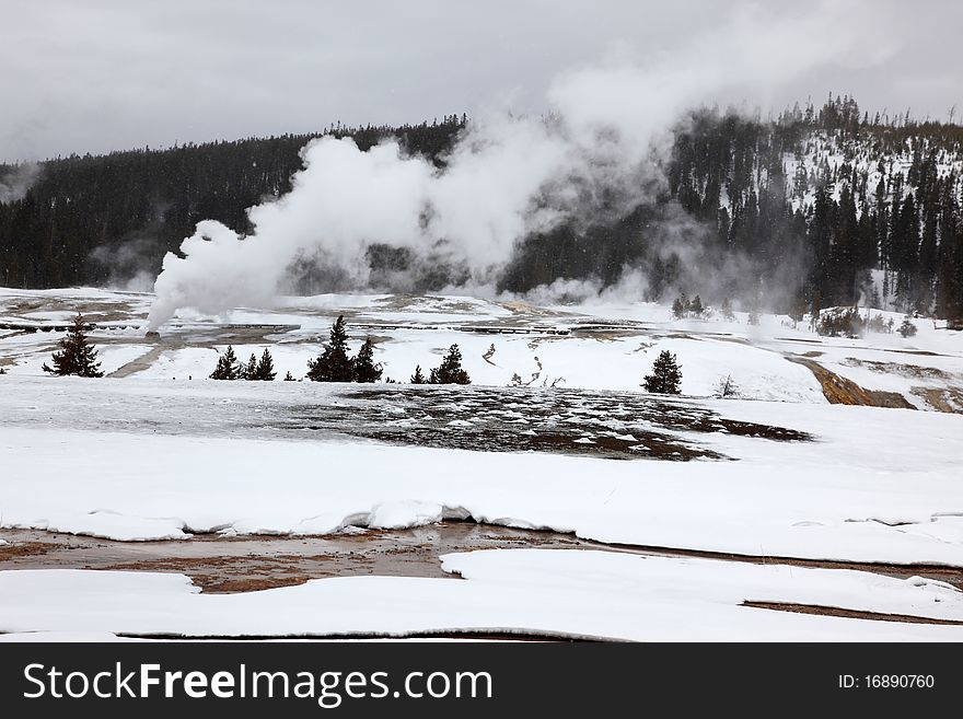 Hot Geysers In Yellowstone NP