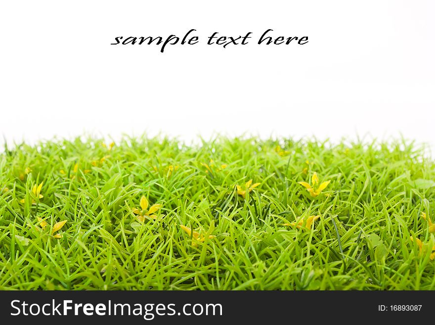 Freshly looking green grassy patch (artificial) isolated on white. Freshly looking green grassy patch (artificial) isolated on white