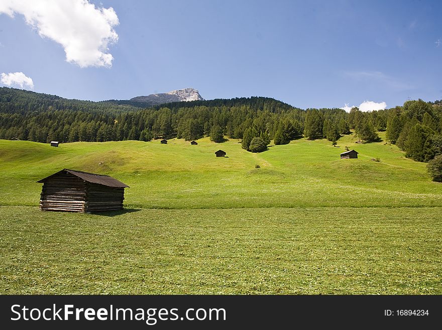 Fields in Tirol, Austria, Europe. Fields in Tirol, Austria, Europe.
