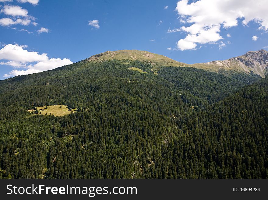 High mountain meadow in Switzerland.