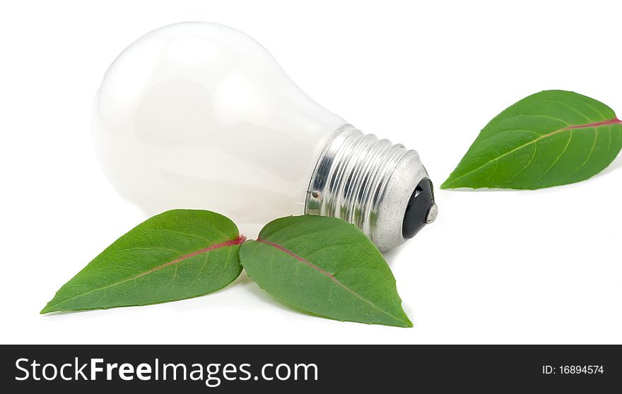 Studio shot of light bulb next to the green leafs on white background. Studio shot of light bulb next to the green leafs on white background.