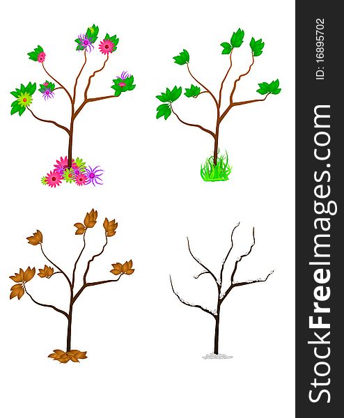 Four vector trees for spring, summer, fall and winter. Four vector trees for spring, summer, fall and winter.