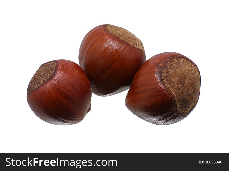 Three filbert nuts isolated on white background