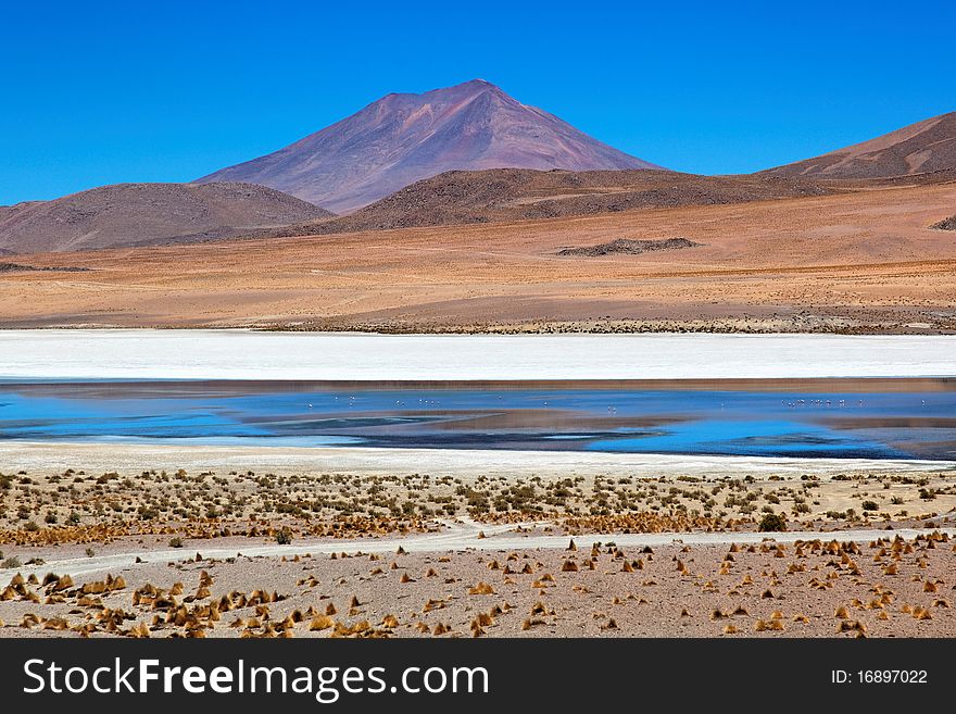 Laguna Desert, Altiplano, Bolivia, South America. Laguna Desert, Altiplano, Bolivia, South America