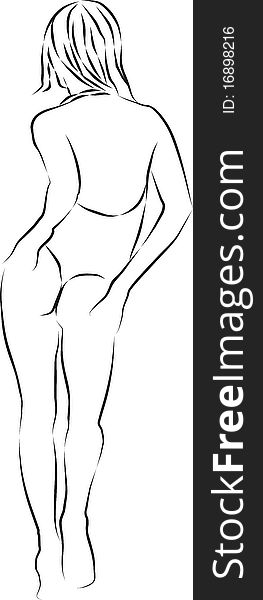 Female In A Swimsuit, Vector Illustration