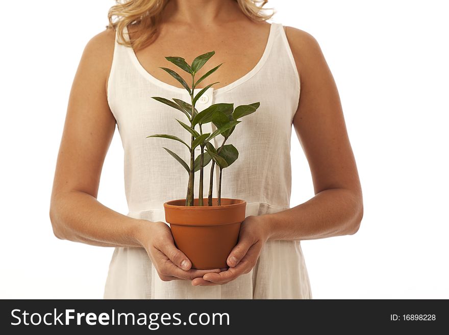 Hands Holding Potted Plant