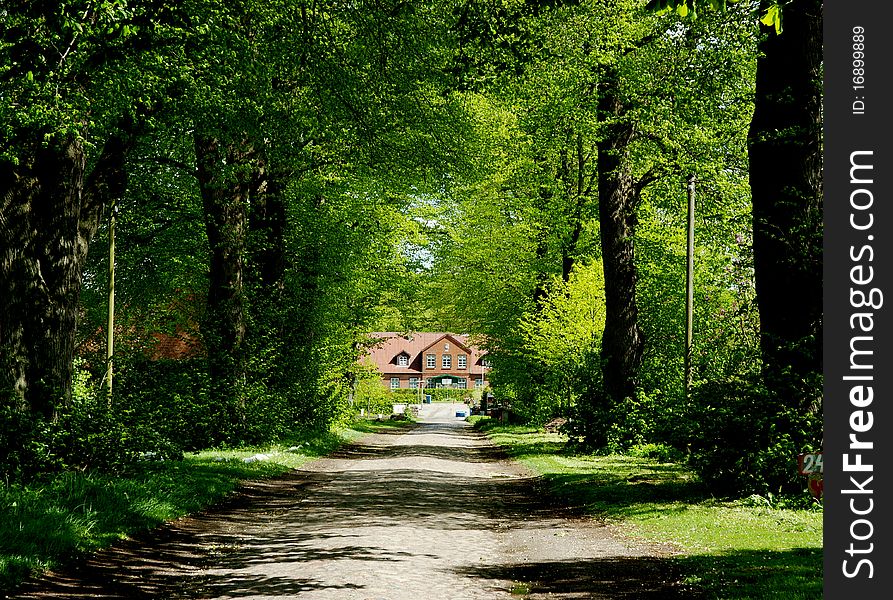 A tree-lined driveway leads to a typical farm estate in Schleswig-Holstein, Germany. A tree-lined driveway leads to a typical farm estate in Schleswig-Holstein, Germany.