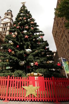 Christmas Tree Stock Images Christmas Tree Stock Images