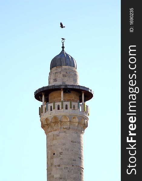 Raven over a minaret