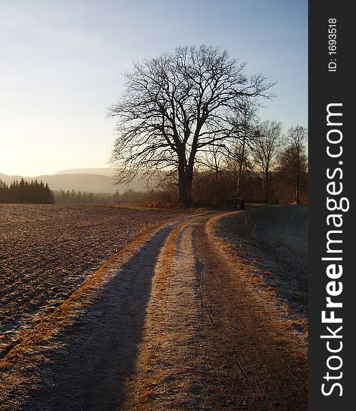 A road through the fields on a winters day. A road through the fields on a winters day