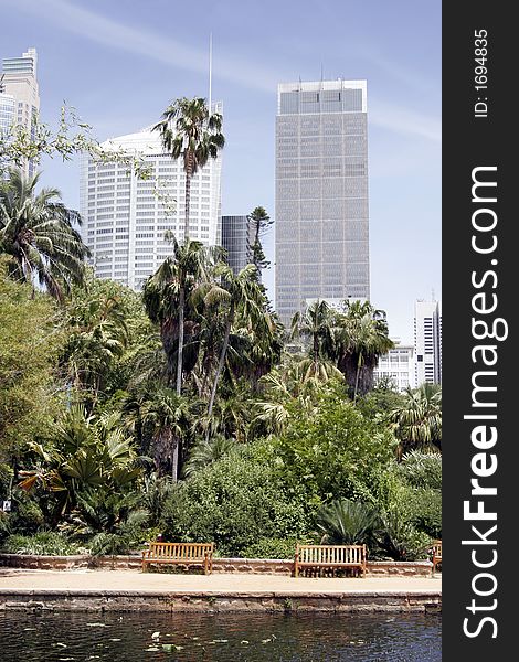 Urban Public Park In Front Of Tall City Office Buildings, Sydney, Australia. Urban Public Park In Front Of Tall City Office Buildings, Sydney, Australia