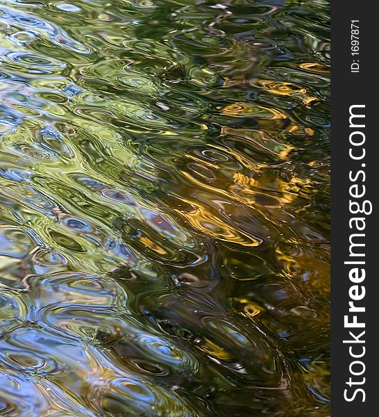 Reflection of a wood in lake in a sunny day. Reflection of a wood in lake in a sunny day