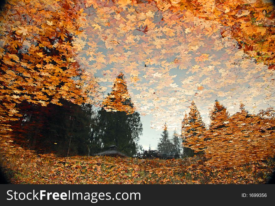 Inverted pond photo of fall leaves. Inverted pond photo of fall leaves