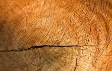 Texture Of Old Cracked Stump Wood Stock Photo Texture Of Old Cracked Stump Wood Stock Photo
