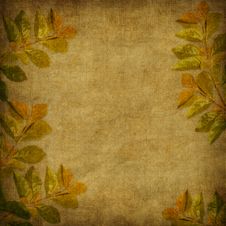 Card For The Holiday With Autumn Leaves Royalty Free Stock Image Card For The Holiday With Autumn Leaves Royalty Free Stock Image