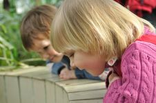 Two Children Looking Down Royalty Free Stock Image Two Children Looking Down Royalty Free Stock Image