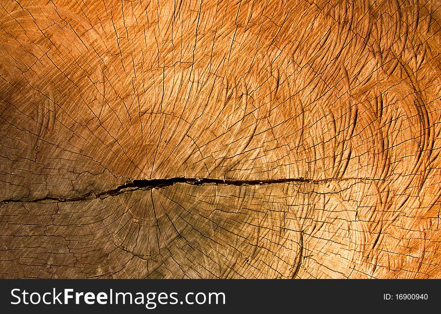 Texture Of Old Cracked Stump Wood