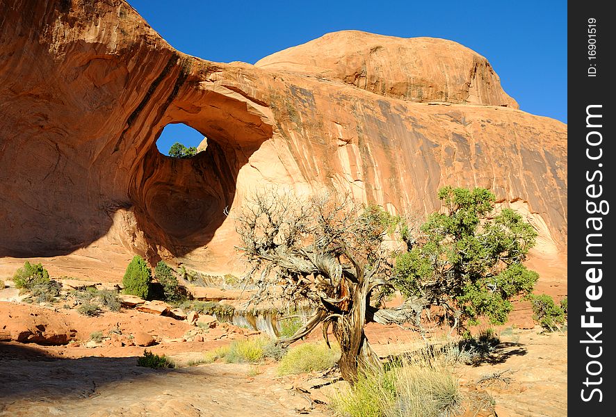 Bowtie Sandstone Arch near Moab. Bowtie Sandstone Arch near Moab