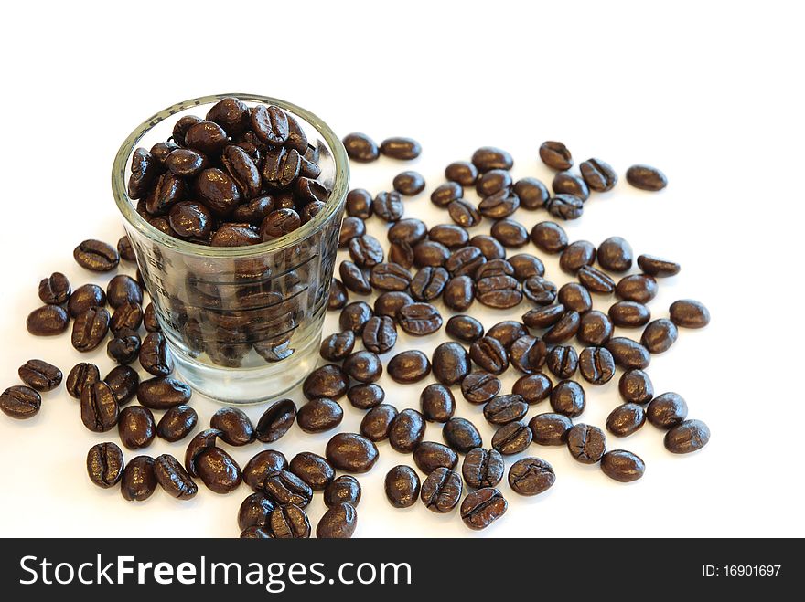 Coffee seed in the cup