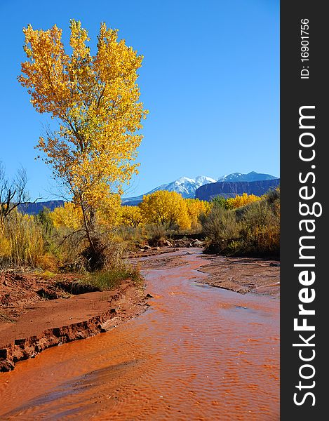 Desert Stream in Fall with Snowy Mountains in the Distance