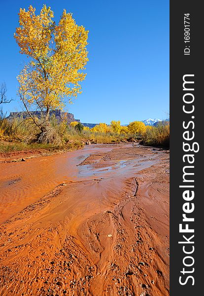 Desert Stream in Fall with Snowy Mountains in the Distance