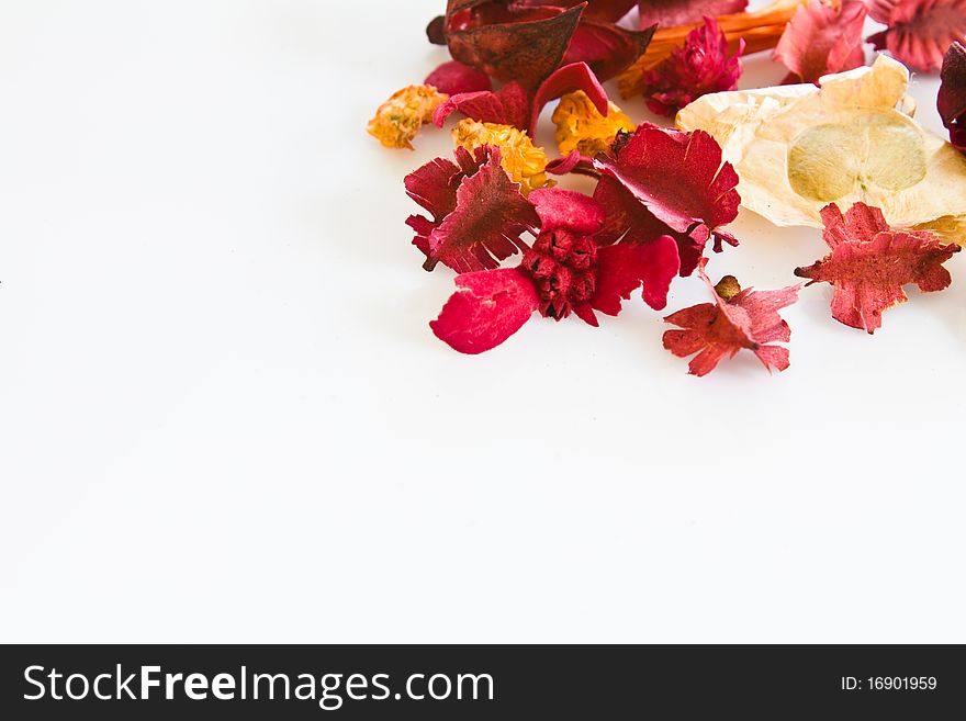 Mixture of dried floral (potpourri) with blank white space. Mixture of dried floral (potpourri) with blank white space