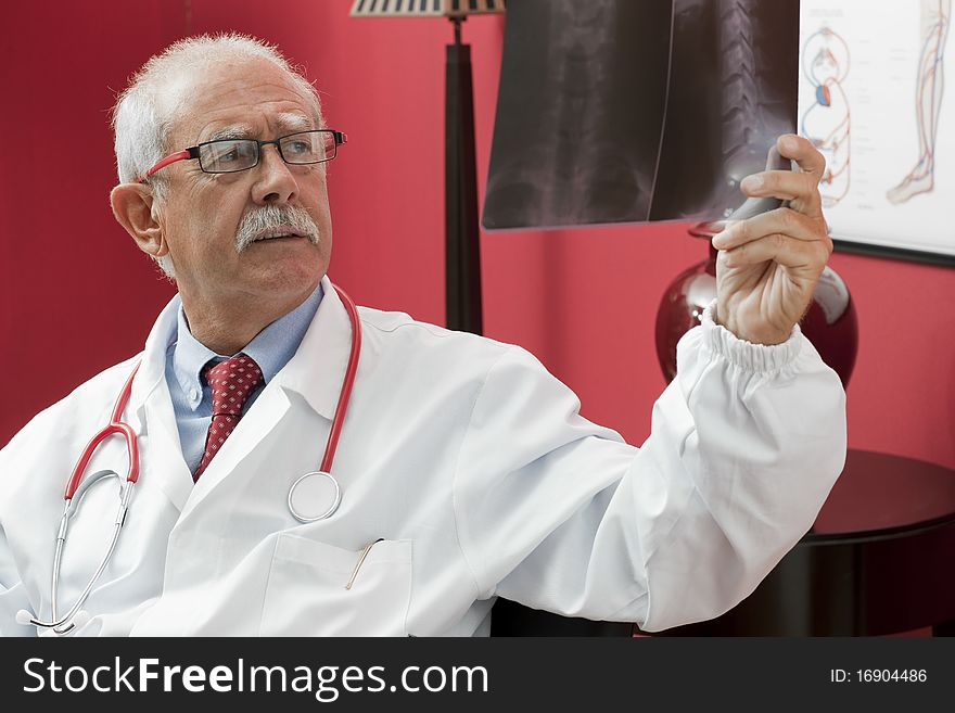 Senior doctor examining x-ray