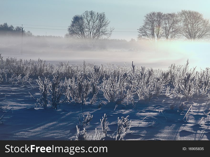 Winter landscape - frosty misty day