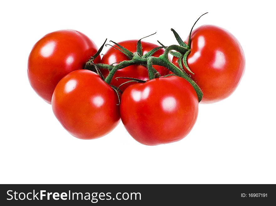 Bunch of fresh tomatoes over white background. Bunch of fresh tomatoes over white background