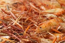Grilled Shrimp Royalty Free Stock Photo
