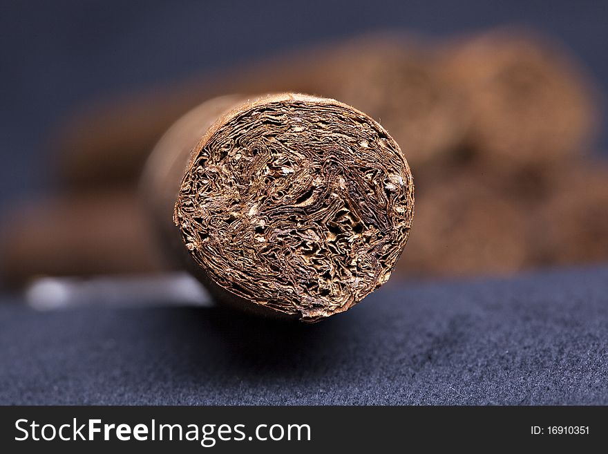 Cuban top cigar, closeup view