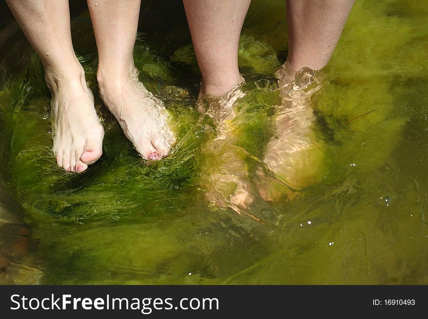 Human foot in the seaweed sea