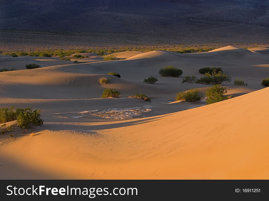 The dunes of Death Valley in the early morning light. The dunes of Death Valley in the early morning light.