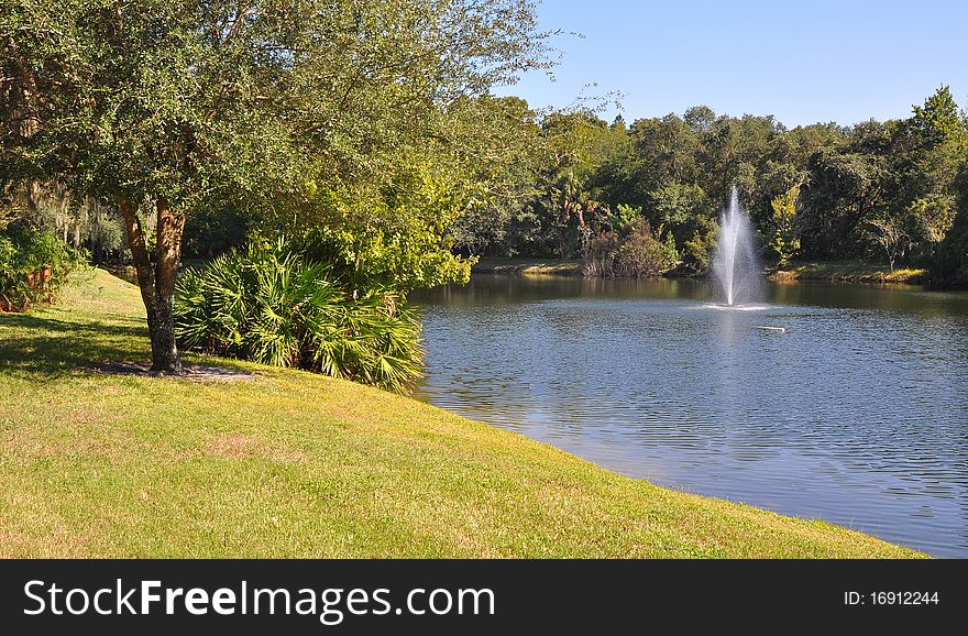 Lake, Fountain And A Forest